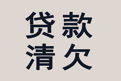 借钱不还，能否起诉至法院追偿？